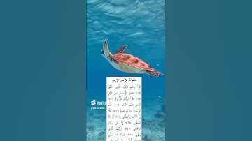 #سورة العلق #عمر القزابري #قران كريم #اكسبلور #راحة نفسية #ترند