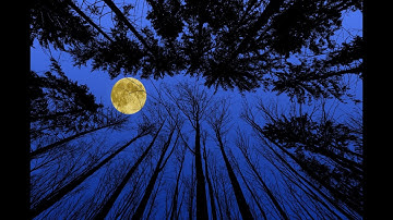 Julie London: Fly Me To The Moon