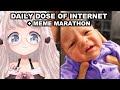 DON'T do this to baby | VTuber Fuwa Reacts to Daily Dose of Internet & MEME COMPILATION