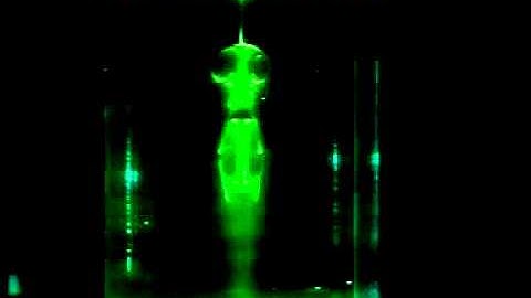 Swirling flow of Newtonian fluids and vortex breakdown