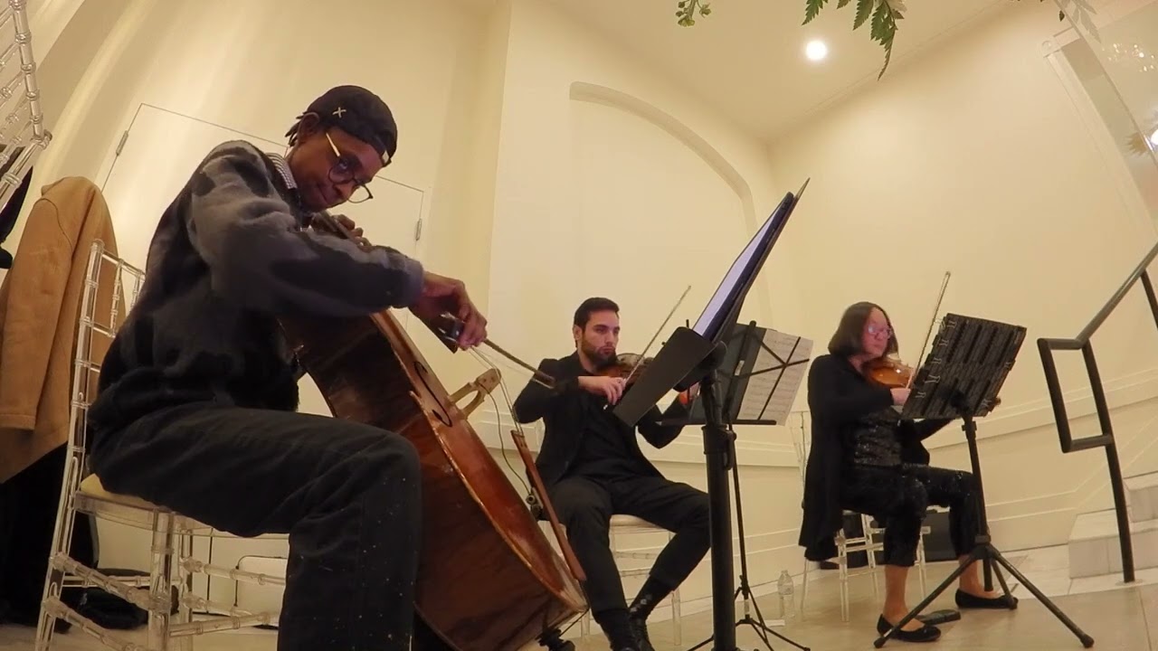 First Date by Blink 182 - String Trio by Serenata Strings DFW