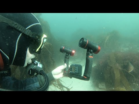 Scuba Diving Equipment Review: SeaLife Micro 3.0 Camera and Sea Dragon 2500F Lights