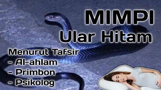 Download lagu Mimpi Ular Hitam Mp3 Video Mp4