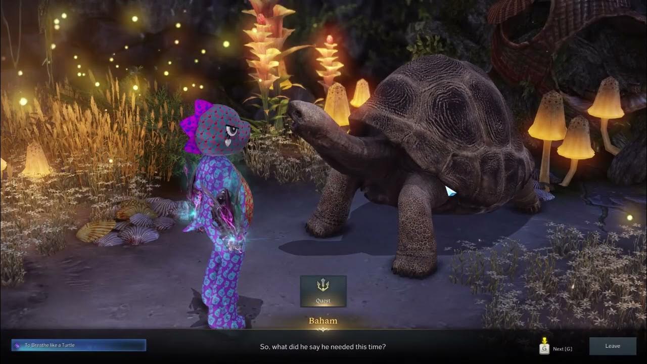 TURTLE ISLAND Soul Complete Quest Gameplay and MOKOK SEED Locations in LOST ARK YouTube