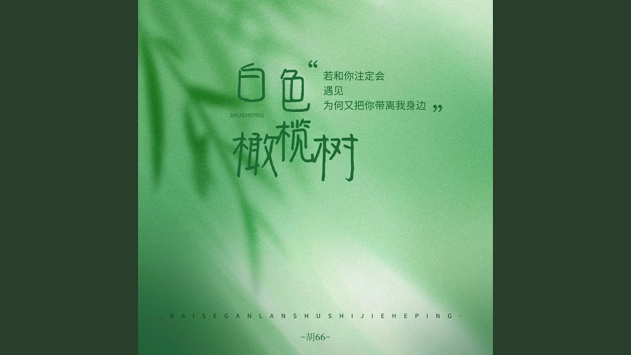 Watch 白色橄榄树 (伴奏) on YouTube Watch 白色橄榄树 (伴奏) on YouTube