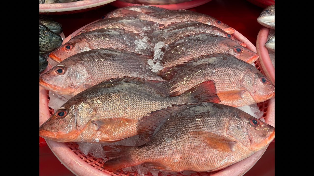 0307 直播 雲林斗南夜市開播囉！#嘉義趙又廷 #全晟海產 #週六雲林斗南夜市 #海鮮拍賣 #海鮮叫賣