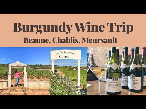Burgundy Wine Trip 2018 - Chablis, Beaune, Meursault