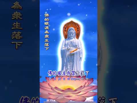 [善歌 佛的眼淚為眾生落下]   #南無大慈大悲觀世音菩薩   金童玉女慈悲訓 調寄：情是自己種下的蓮花 #shorts