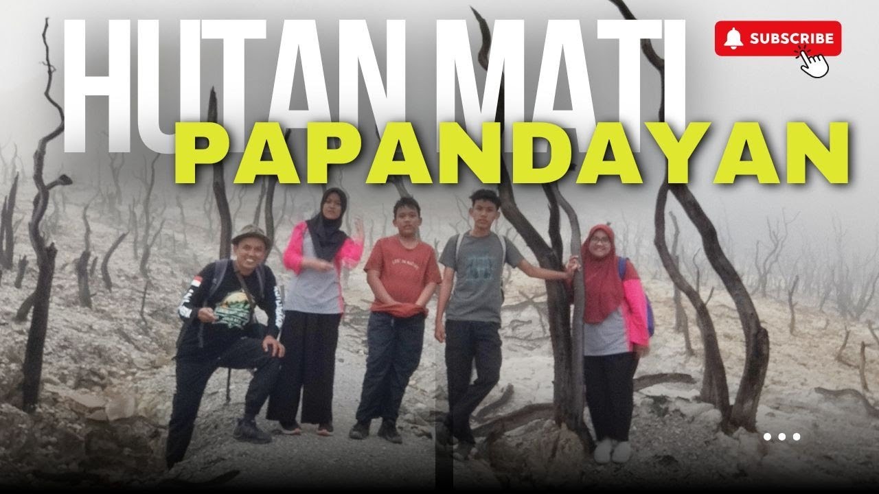 Trekking Hutan Mati Gunung Papandayan