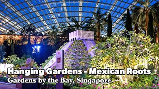 Hanging Gardens – Mexican Roots Highlights | Gardens by the Bay