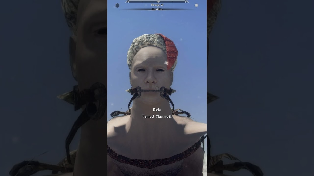 Skyrim: New Horse Mod