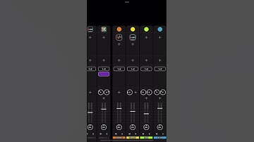 Loopy Pro 21