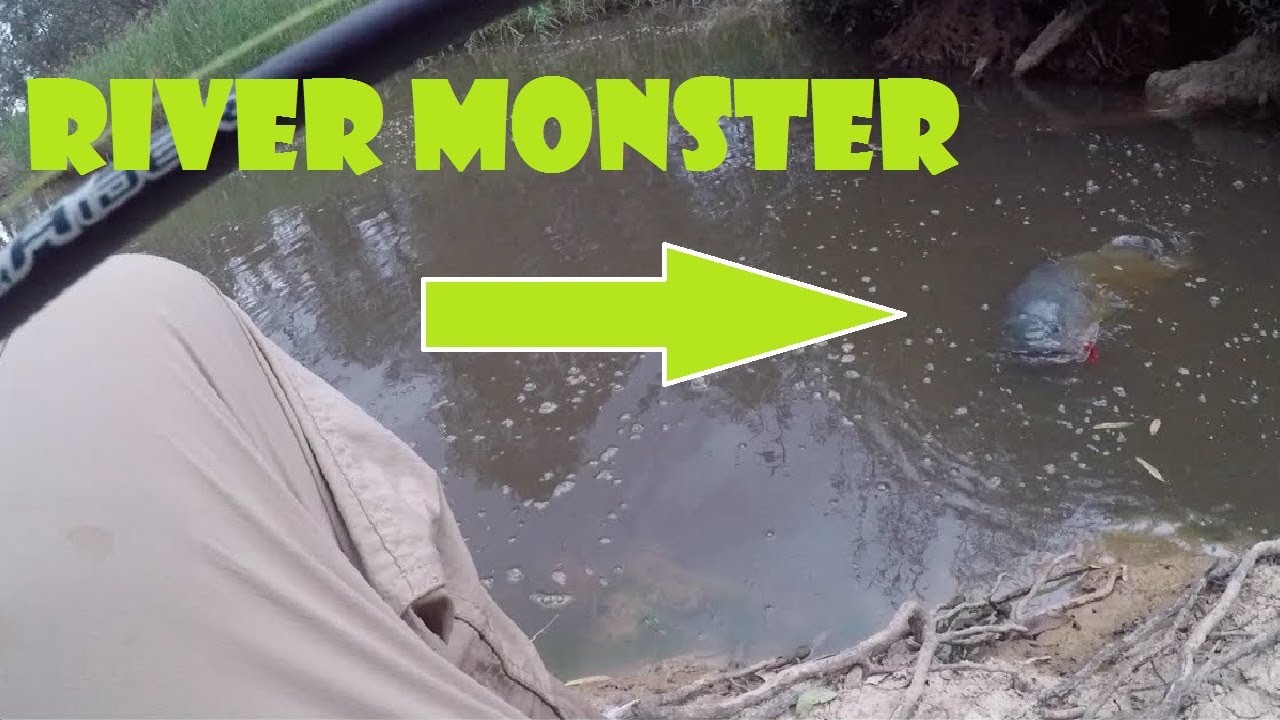 GOODOO GANG - SKINNY WATER RIVER MONSTER - YouTube