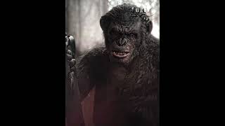 Koba tue deux mecs en faisant croire qu’il est gentil VF / La Planète des singes 2014  #shorts