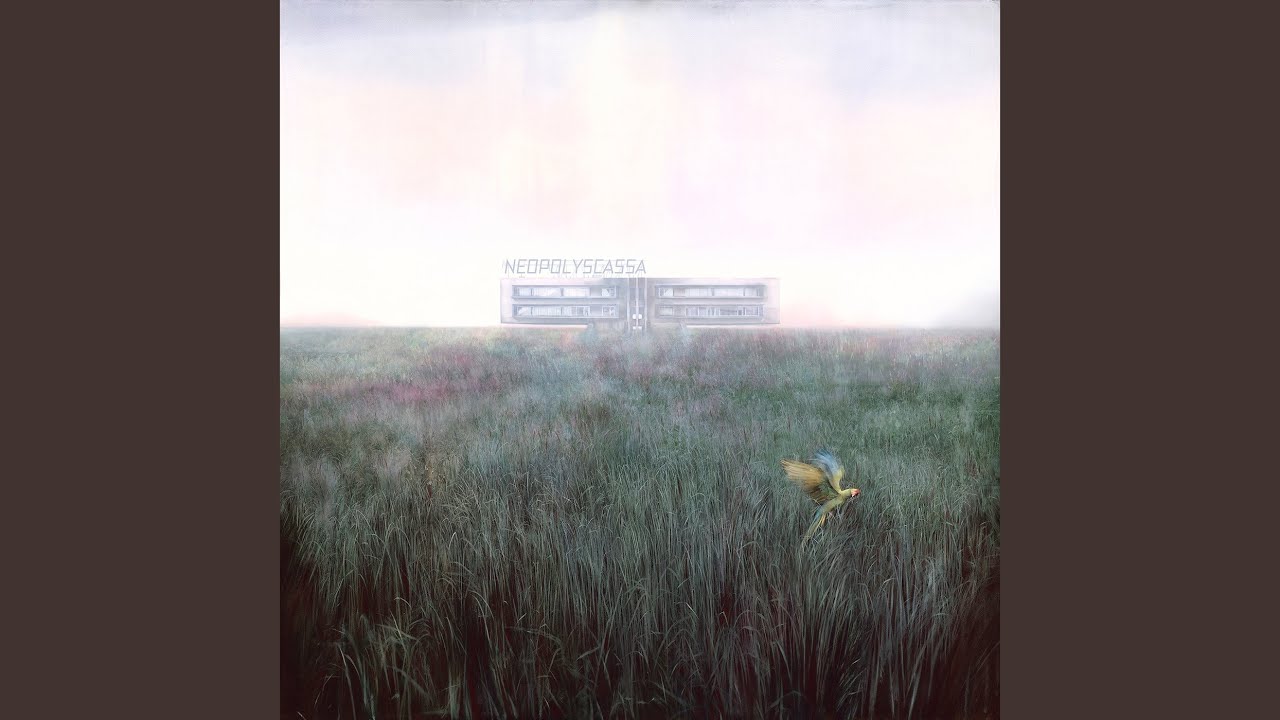 Watch And the One on YouTube Watch And the One on YouTube