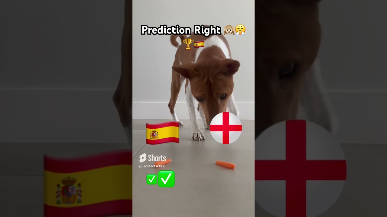 Leo Prediction Results Finale!