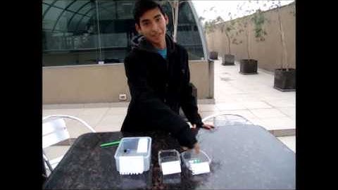 Proyecto de Fundamentos de Programación | Universidad de Lima