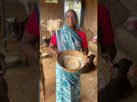 Video thumbnail: Leftover Roti Se Breakfast Banaya 😍 Easy Roti Tacos #cooking #dailyvlog #recipe #lifestyle #shorts