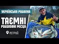 Українська Рибалка - Рибалка на підуста, рибалка р.Стрий