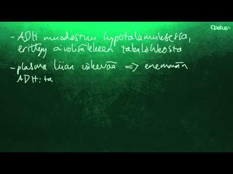 Video: Aldosteronin Ja Antidiureettisen Hormonin (ADH) Välinen Ero