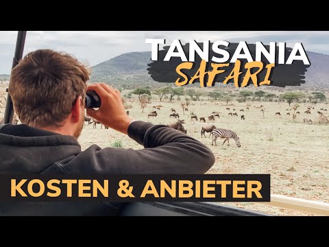 Video: Tipps, Die Sie Vor Ihrer Ersten Afrikanischen Safari Wissen Sollten Reise