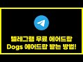 텔레그램 무료 에어드랍! Dogs 에어드랍 받는 방법!
