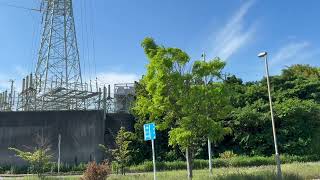 Japanese Everyday Scene โ Swaying Green Leaves (No Music)