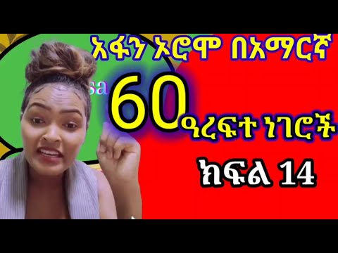 Learn Afan Oromo In Amharic Part 14 አፋን ኦሮሞን በአማርኛ ይማሩ ክፍል 14 60 ዓረፍተ ነገሮች