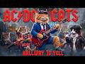 AC/DC Cats - Hallway To Yell | Official Meowsic Video