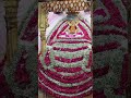 shyamdarshan# khatushyam #status#shyam#shorts