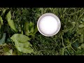 Ekyogo Kyabakulu Nga Bakyala Naaba Eddagala Lino Full Video Ekyogo Kyabakulu Nga Bakyala Naaba Eddagala Lino Full Video