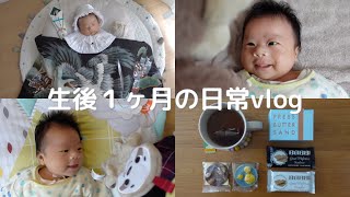 生後1ヶ月のvlog① | お宮参り | 出産内祝い | 遊び