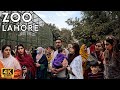 Ultimate Lahore Zoo Walking Tour - Peaceful Nature Walk - Walking Tourist 4K
