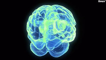 Make a attractive color explosion logo animation video - Best Intros & Outros service