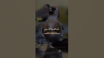 سورة الفاتحة/ بصوت زيد الشنطي Surah Al- Fatiha #قرآن