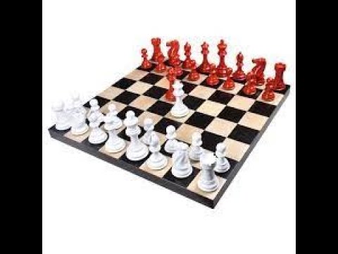 Curiosidades sobre o xadrez 