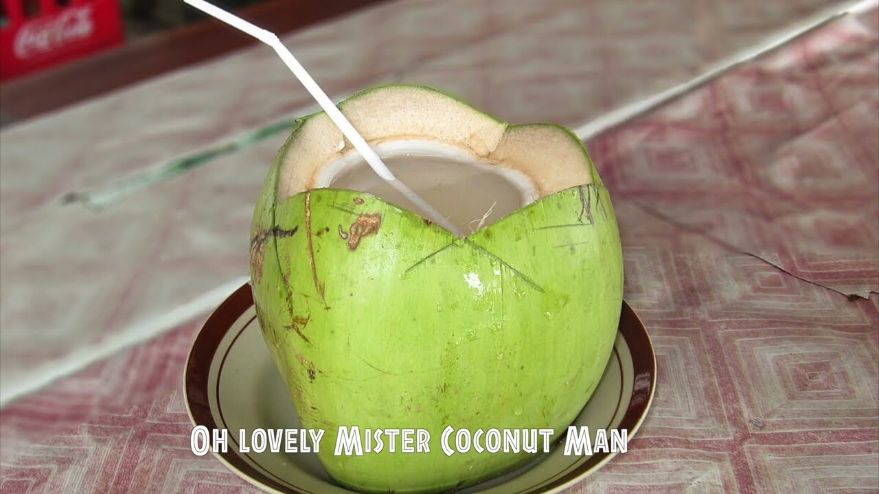 Coconut Man  | ABRSM grade 1 song (covered by Yen Yen) 