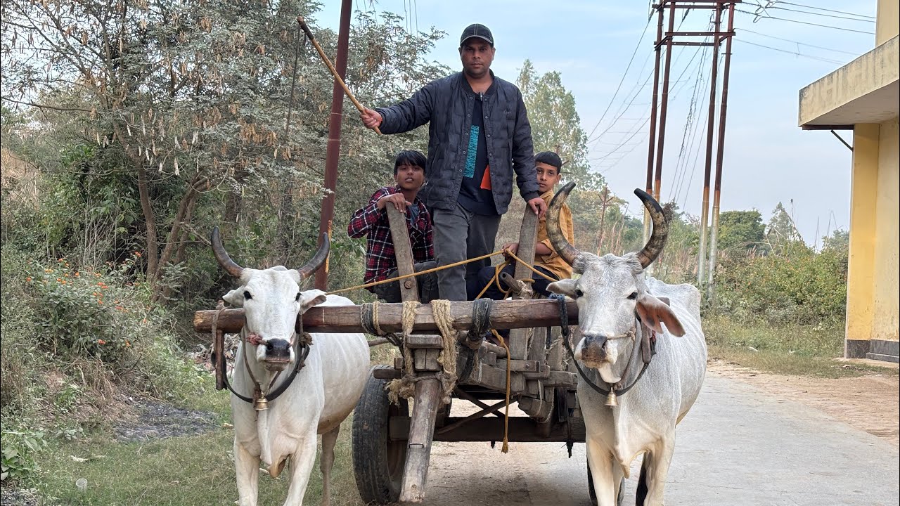 क्या में इसे चला सकता हूँ ।| चलते time ये क्या हुआ 