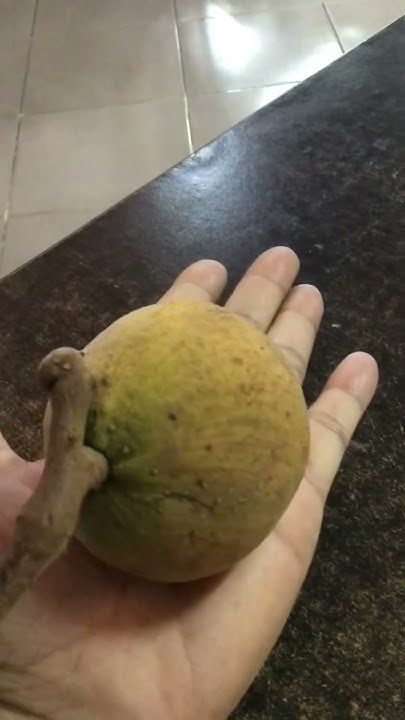 If You Know This Fruit So What Does It Taste Like YouTube if-you-know-this-fruit-so-what-does-it-taste-like-youtube
