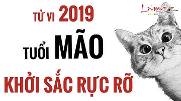 Tử Vi Tuổi Mão 2019 Kỷ Hợi Sự Nghiệp Hanh Thông Thuận Lợi Khởi Sắc Rực Rỡ - Tử Vi 12 Con Giáp