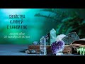 Свойства камней с Анной Гак — 23 октября 2025