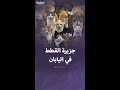 جزيرة يسكنها القطط في اليابان