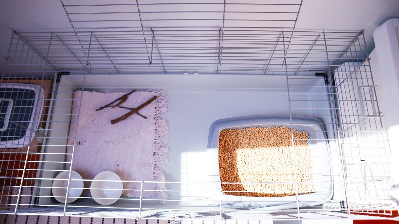 JAK PRZYGOTOWAĆ KLATKĘ DLA KRÓLIKA