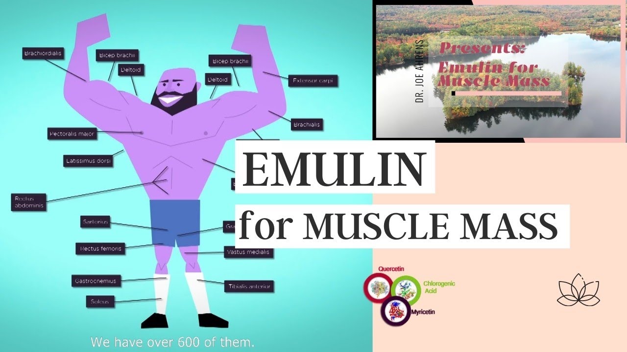 Joe Ahrens Emulin FAQ | Emulin For Muscle Mass | Brett Gurney Reviews
