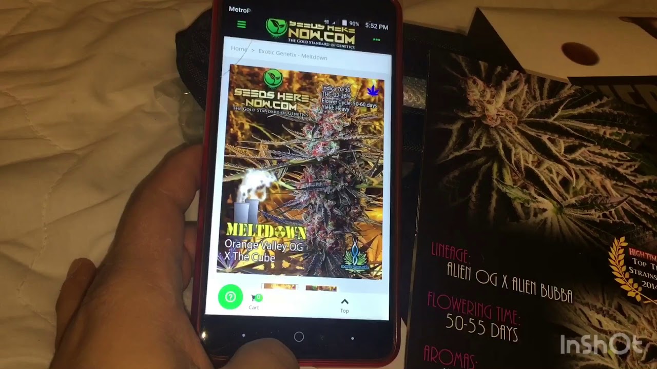 Durango OG X Meltdown ,Super skunk acident pollimated  x meltdown from exotic gen