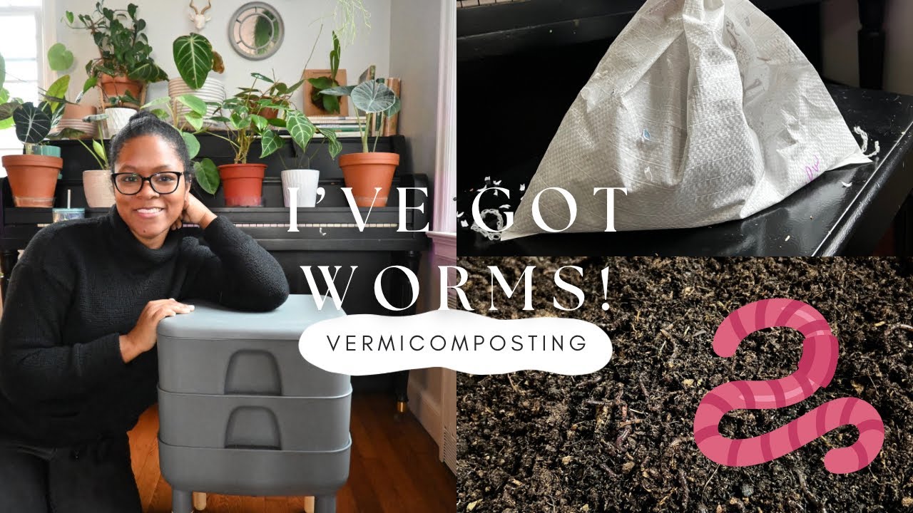 I’VE GOT WORMS 🪱 | NEW WORM BIN | VERMICOMPOSTING | GARDENING | RED ...