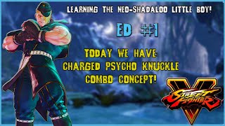 Street Fighter V: Champion Edition - ED Psycho Knuckle Combo Concept