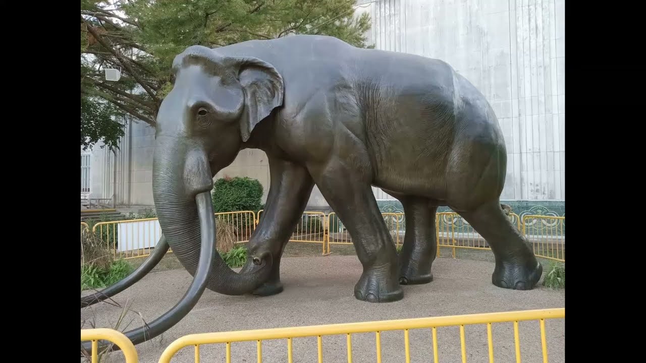 Fair Park History Tour 22 - Dallas Museum of Natural History