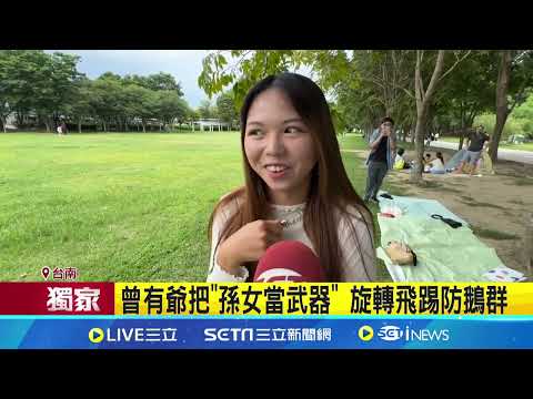 台南公園"超派鵝群" 童被啄哭家長忙抓鵝 有攻擊性! 大人被啄對鵝慌喊"我沒惹你"│記者 黃啟超 吳繢杉│【LIVE大現場】20240519│三立新聞台