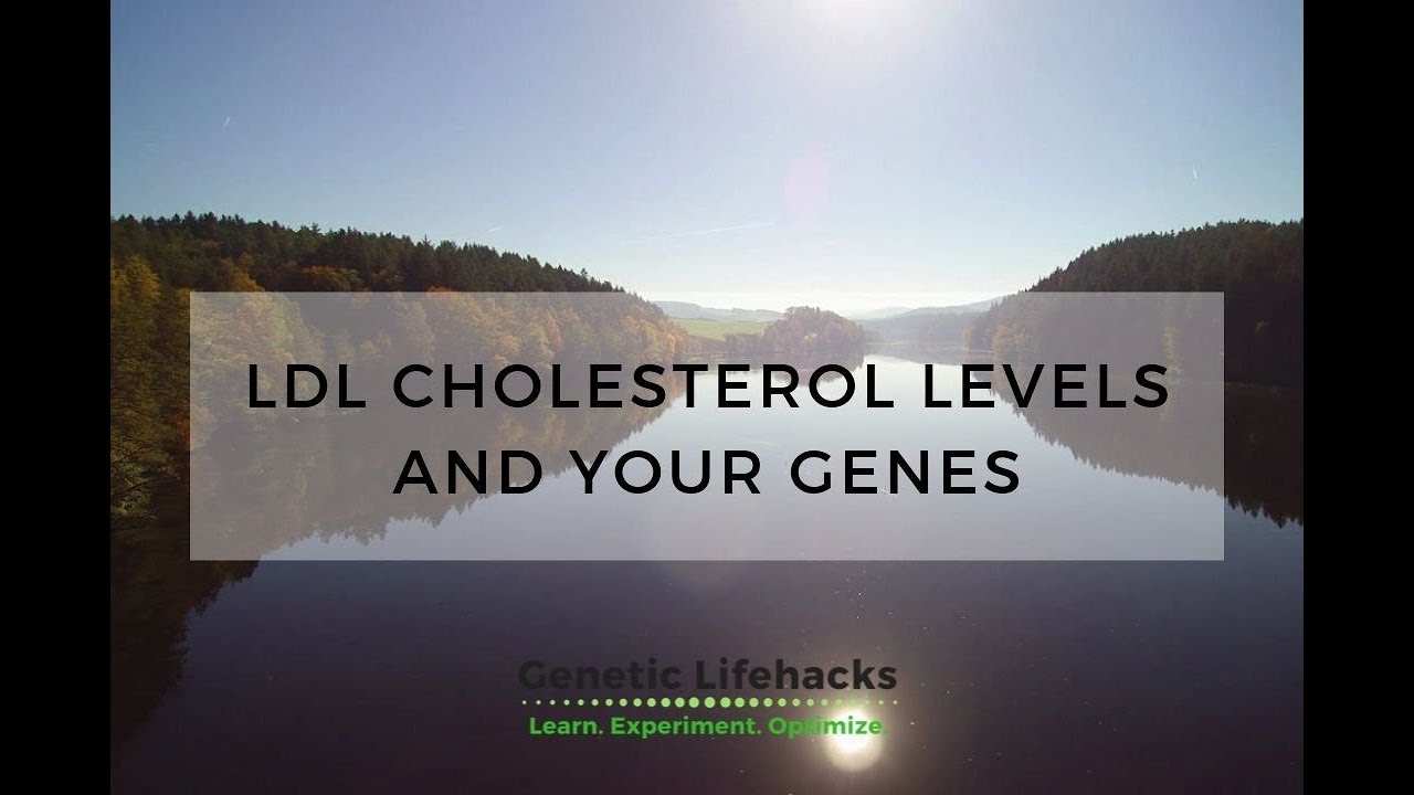 How your genes impact your LDL cholesterol: PCSK9 Gene
